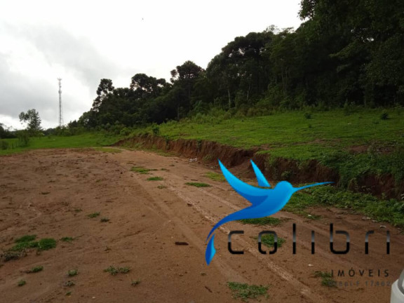 Imagem Terreno à Venda, 3.785 m² em Pinheiro Ocado - Agudos Do Sul Imagem Terreno à Venda, 3.785 m² em Pinheiro Ocado - Agudos Do Sul
