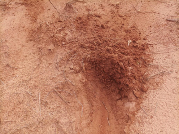 Imagem Fazenda à Venda, 97 m² em Rural - Piracicaba