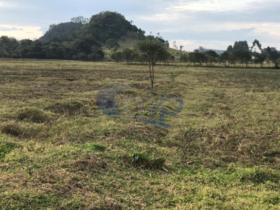 Imagem Fazenda à Venda, 120.000 m² em Jacaré - Torres