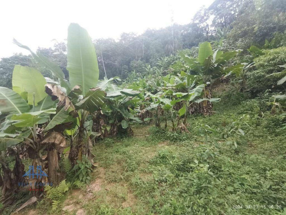 Imagem Fazenda à Venda, 2.123 m² em Centro - Antônio Carlos Imagem Fazenda à Venda, 2.123 m² em Centro - Antônio Carlos