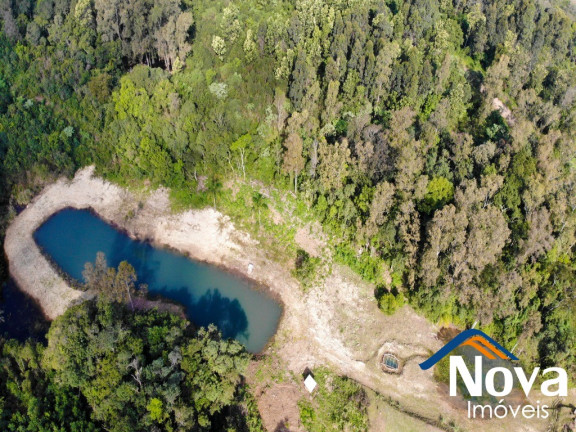 Imagem Imóvel à Venda, 32.549 m² em Linha Olinda - Nova Petrópolis Imagem Imóvel à Venda, 32.549 m² em Linha Olinda - Nova Petrópolis