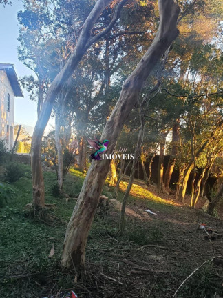 Imagem Terreno à Venda, 420 m² em Vila Assunção - Porto Alegre Imagem Terreno à Venda, 420 m² em Vila Assunção - Porto Alegre