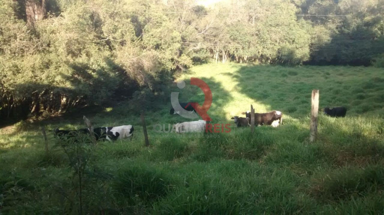 Imagem Imóvel com 6 Quartos à Venda, 24.000 m² em Pedra Bela - Bragança Paulista Imagem Imóvel com 6 Quartos à Venda, 24.000 m² em Pedra Bela - Bragança Paulista
