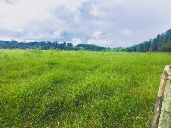 Imagem Chácara à Venda, 9 m² em Area Rural De Avaré - Avaré Imagem Chácara à Venda, 9 m² em Area Rural De Avaré - Avaré