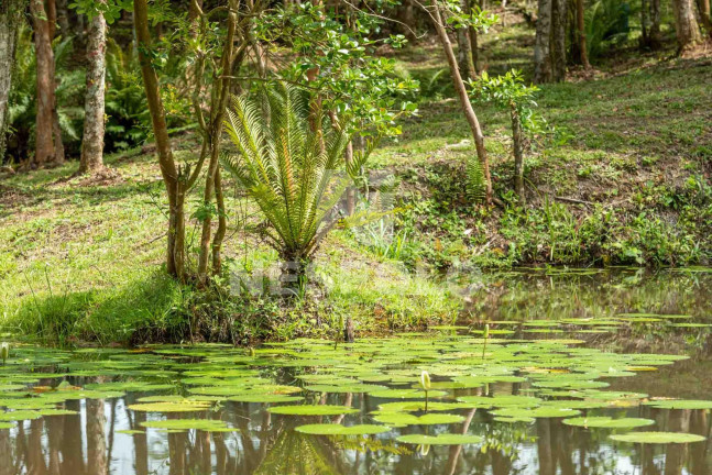 Imagem Terreno à Venda,  em Rio Do Meio - Camboriu