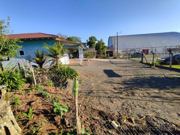 Imagem Casa com 3 Quartos à Venda, 293 m² em Trigolândia - Piên Imagem Casa com 3 Quartos à Venda, 293 m² em Trigolândia - Piên