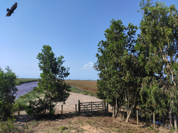 Imagem Imóvel à Venda, 5.324.000 m² em Pontal De Ipiranga - Linhares Imagem Imóvel à Venda, 5.324.000 m² em Pontal De Ipiranga - Linhares