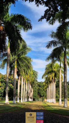 Imagem Fazenda à Venda, 600 m² em Linha Keller - Foz Do Iguaçu