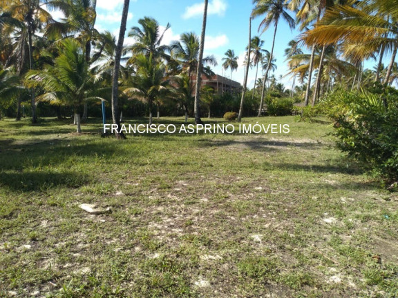 Imagem Imóvel à Venda, 8.000 m² em Mamoã - Ilhéus Imagem Imóvel à Venda, 8.000 m² em Mamoã - Ilhéus