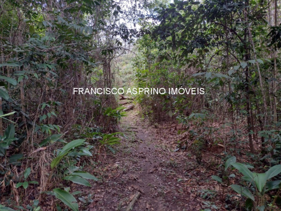 Imagem Imóvel à Venda, 2 m² em Serra Grande - Uruçuca Imagem Imóvel à Venda, 2 m² em Serra Grande - Uruçuca