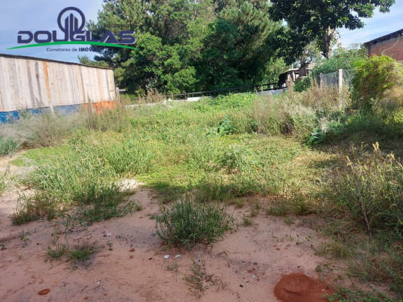 Imagem Casa com 2 Quartos à Venda, 450 m² em águas Claras - Viamão
