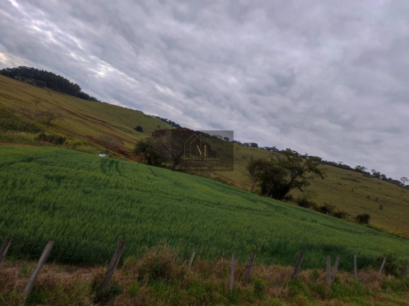 Imagem Terreno à Venda, 2.600 m² em Tomazina - Tomazina