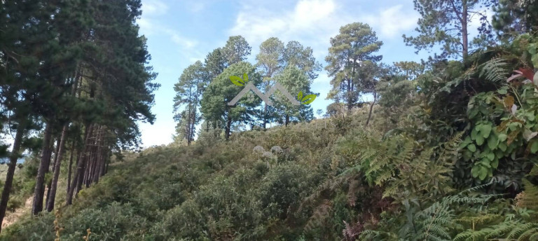 Imagem Terreno à Venda, 5 m² em Cidade Do Sol Ii - Campos Do Jordão Imagem Terreno à Venda, 5 m² em Cidade Do Sol Ii - Campos Do Jordão