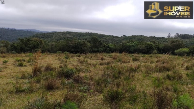 Imagem Imóvel com 4 Quartos à Venda, 2.600.000 m² em Centro - Canguçu