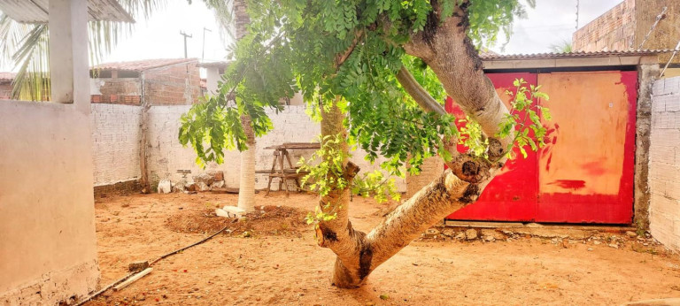 Imagem Terreno à Venda, 200 m² em Cajupiranga - Parnamirim