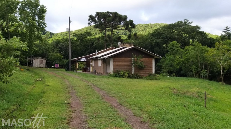 Imagem Chácara com 2 Quartos à Venda, 90.000 m² em Moreira - Gramado Imagem Chácara com 2 Quartos à Venda, 90.000 m² em Moreira - Gramado