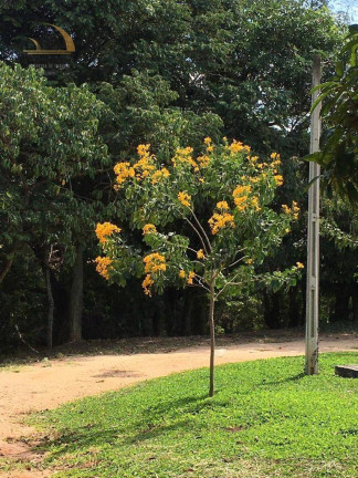 Imagem Fazenda à Venda, 968.000 m² em São Luis - Jacutinga