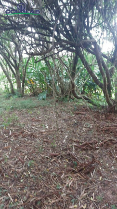 Imagem Terreno à Venda,  em águas Claras - Viamão