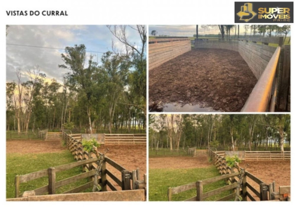 Imagem Imóvel com 3 Quartos à Venda, 25.000.000 m² em Prado - Santana Do Livramento