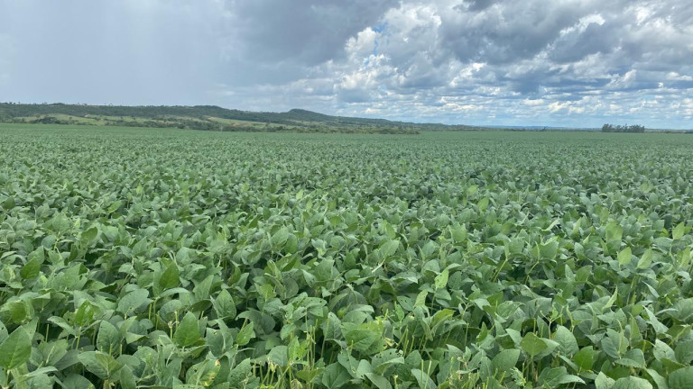 Imagem Fazenda à Venda, 963 m² em Rural - Rosário Oeste