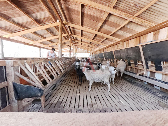 Imagem Fazenda à Venda, 24.200 m² em Morro Alto - Guarapuava Imagem Fazenda à Venda, 24.200 m² em Morro Alto - Guarapuava