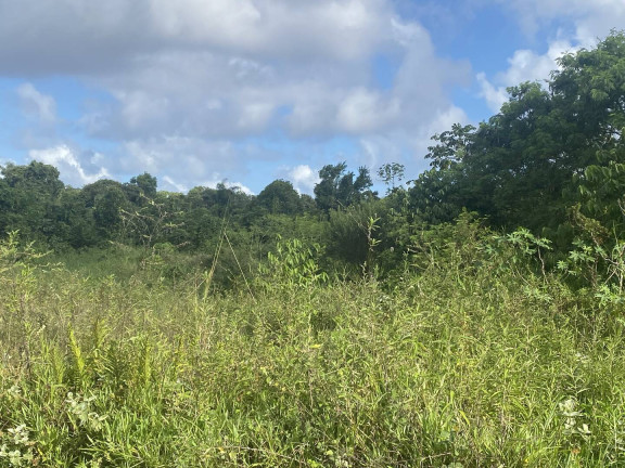 Imagem Terreno à Venda, 156.000 m² em Belas Artes - Itanhaém Imagem Terreno à Venda, 156.000 m² em Belas Artes - Itanhaém