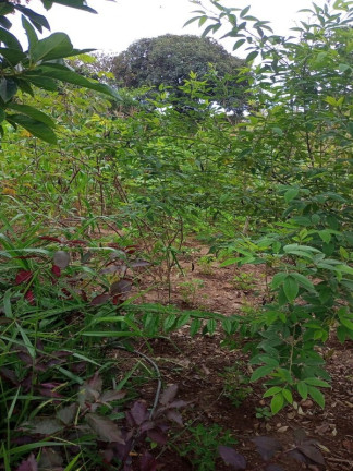 Imagem Terreno à Venda, 360 m² em Vele Do Sol - São Joaquim De Bicas Imagem Terreno à Venda, 360 m² em Vele Do Sol - São Joaquim De Bicas