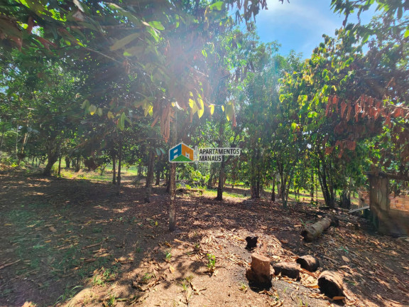 Imagem Chácara com 5 Quartos à Venda, 32.000 m² em Cacau Pirera - Iranduba Imagem Chácara com 5 Quartos à Venda, 32.000 m² em Cacau Pirera - Iranduba