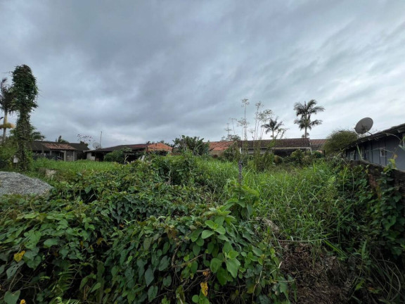Imagem Terreno à Venda, 300 m² em Costeira - Balneário Barra Do Sul Imagem Terreno à Venda, 300 m² em Costeira - Balneário Barra Do Sul