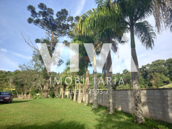 Imagem Fazenda à Venda, 8.500 m² em T - Extrema