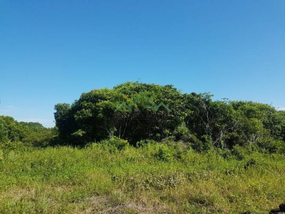 Imagem Terreno à Venda, 312 m² em Salinas - Balneário Barra Do Sul