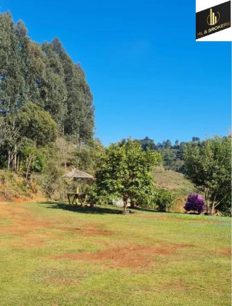 Imagem Imóvel com 4 Quartos à Venda, 46.000 m² em Freguesia Dos Laras - Campo Magro Imagem Imóvel com 4 Quartos à Venda, 46.000 m² em Freguesia Dos Laras - Campo Magro