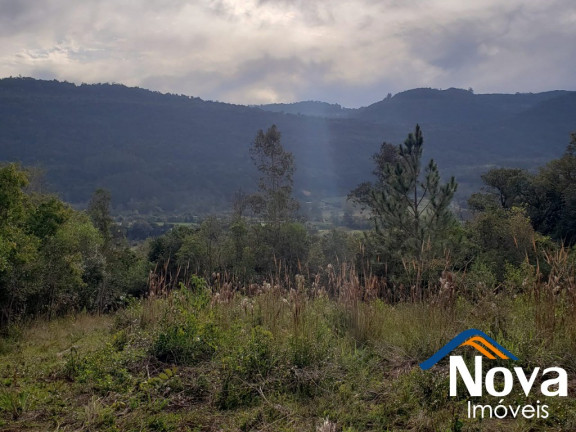 Imagem Imóvel à Venda, 120.000 m² em Linha Temerária - Nova Petrópolis Imagem Imóvel à Venda, 120.000 m² em Linha Temerária - Nova Petrópolis