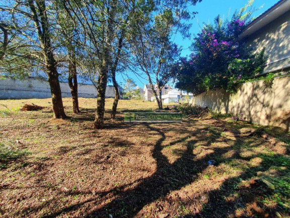 Imagem Terreno à Venda, 1.706 m² em Campo Comprido - Curitiba