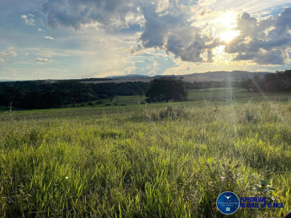 Imagem Chácara à Venda, 10 m² em Zona Rural - Goiás Imagem Chácara à Venda, 10 m² em Zona Rural - Goiás