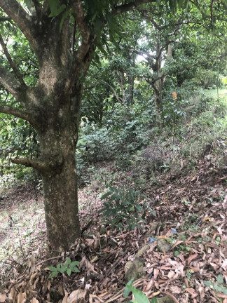 Imagem Imóvel à Venda, 1.200 m² em Campo Grande - Rio De Janeiro Imagem Imóvel à Venda, 1.200 m² em Campo Grande - Rio De Janeiro
