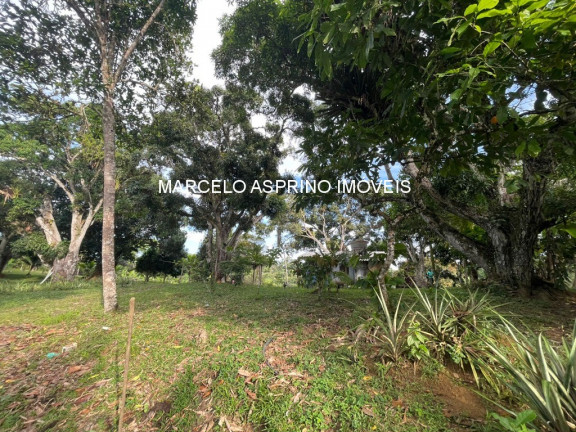 Imagem Imóvel com 3 Quartos à Venda, em Carobeira - Ilhéus Imagem Imóvel com 3 Quartos à Venda, em Carobeira - Ilhéus