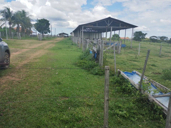 Imagem Fazenda à Venda, 1.000 m² em Cuiabá Imagem Fazenda à Venda, 1.000 m² em Cuiabá