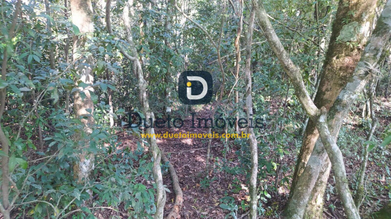 Imagem Chácara à Venda, 3 m² em Zona Rural - São Martinho Da Serra