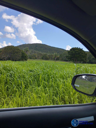 Imagem Fazenda à Venda, 253 m² em Zona Rural - Gurupi Imagem Fazenda à Venda, 253 m² em Zona Rural - Gurupi