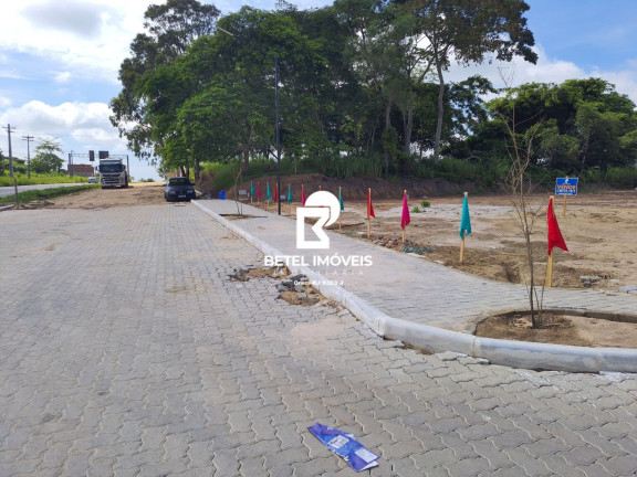 Imagem Terreno à Venda, 8 m² em Centro - São Francisco De Itabapoana Imagem Terreno à Venda, 8 m² em Centro - São Francisco De Itabapoana