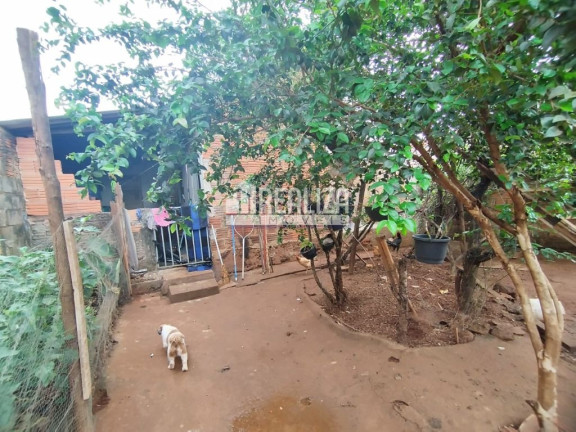 Imagem Casa com 3 Quartos à Venda, 240 m² em Núcleo Habitacional Silvério Cartafina - Uberaba Imagem Casa com 3 Quartos à Venda, 240 m² em Núcleo Habitacional Silvério Cartafina - Uberaba