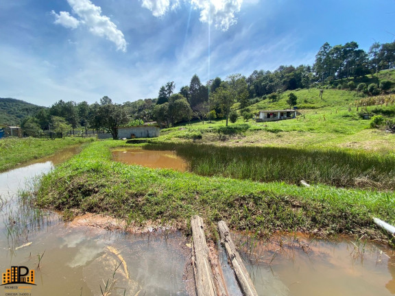 Imagem Imóvel com 2 Quartos à Venda, 7.000 m² em Girassol - São Lourenço Da Serra Imagem Imóvel com 2 Quartos à Venda, 7.000 m² em Girassol - São Lourenço Da Serra