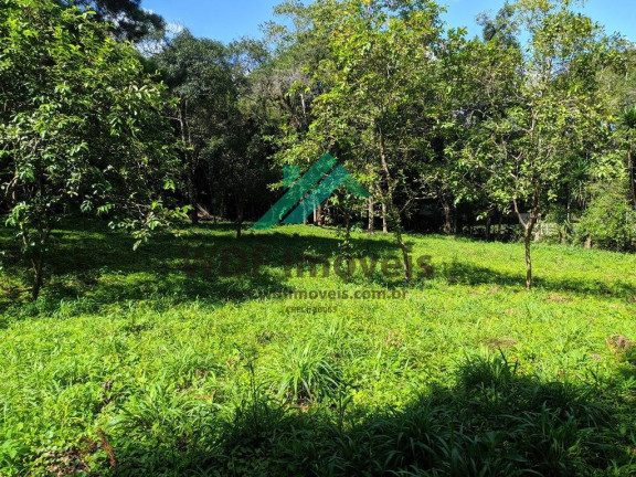 Imagem Terreno à Venda, 1.977 m² em Cachoeira - Curitiba Imagem Terreno à Venda, 1.977 m² em Cachoeira - Curitiba
