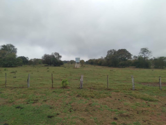 Imagem Fazenda à Venda, 730 m² em Rural - Corguinho