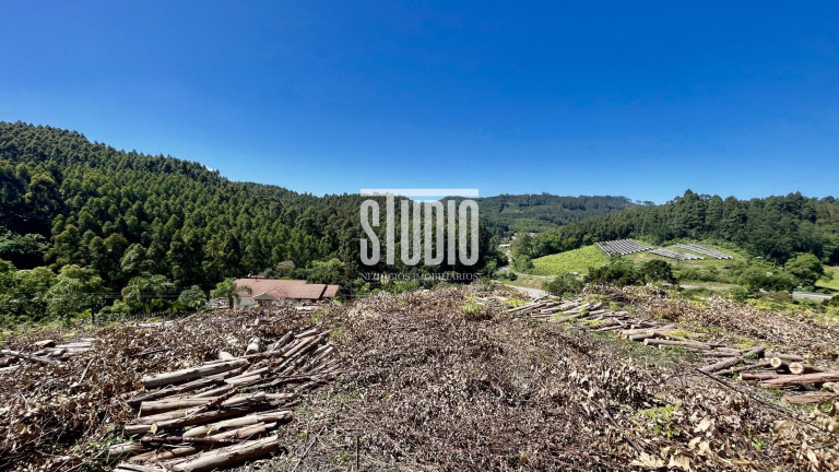 Imagem Terreno à Venda, 11.990 m² em Operário - Barão Imagem Terreno à Venda, 11.990 m² em Operário - Barão
