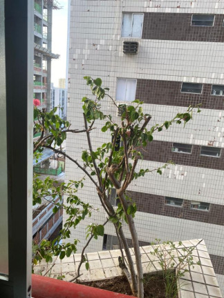 Imagem Apartamento com 3 Quartos à Venda, 110 m² em Boa Viagem - Recife