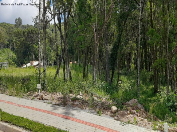 Terreno à Venda, 364 m² em Linha Imperial - Nova Petrópolis