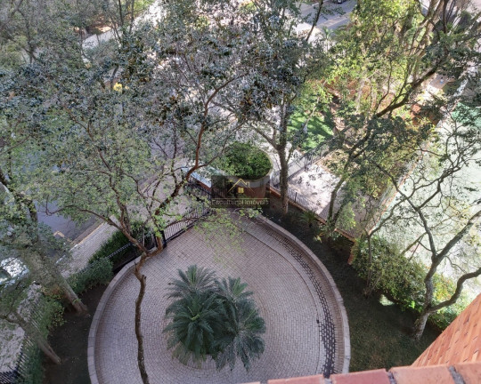 Imagem Apartamento com 4 Quartos à Venda, 235 m² em Vila Suzana - São Paulo