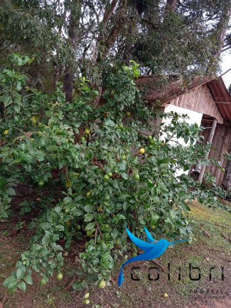 Imagem Chácara com 2 Quartos à Venda, 5.300 m² em Rio Da Várzea - Agudos Do Sul Imagem Chácara com 2 Quartos à Venda, 5.300 m² em Rio Da Várzea - Agudos Do Sul